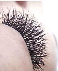 YY lashes
