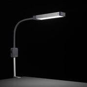 Glamcor reveal light